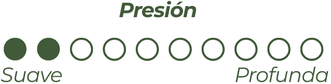 Biomagnetismo Presion